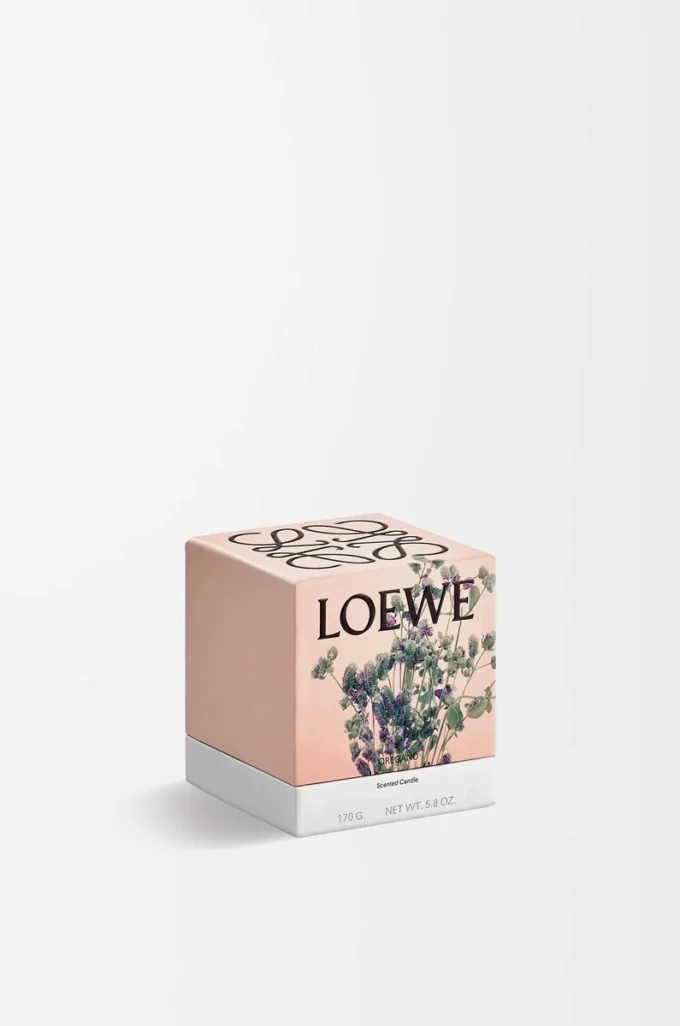 Petite bougie à l&rsquo;origan Blanc