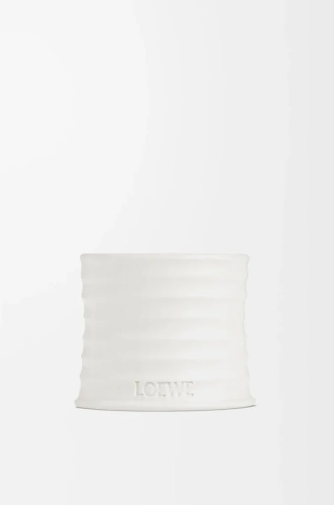 Petite bougie à l&rsquo;origan Blanc