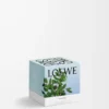 Petite bougie parfumée à l&rsquo;encens bleu foncé