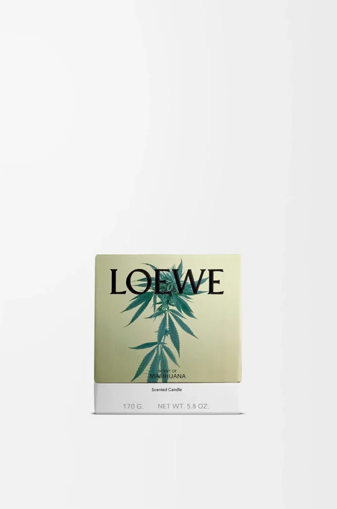 Petite bougie parfumée Scent of Marihuana Vert foncé