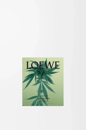Petits savons Scent of Marihuana Vert foncé