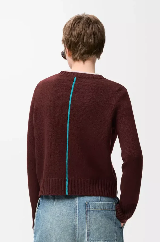 Pull en cachemire bordeaux/multicolore