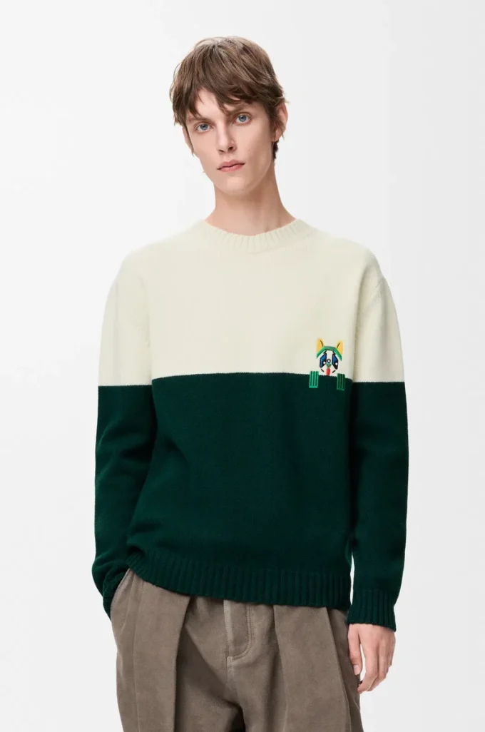Pull en laine Blanc/Vert